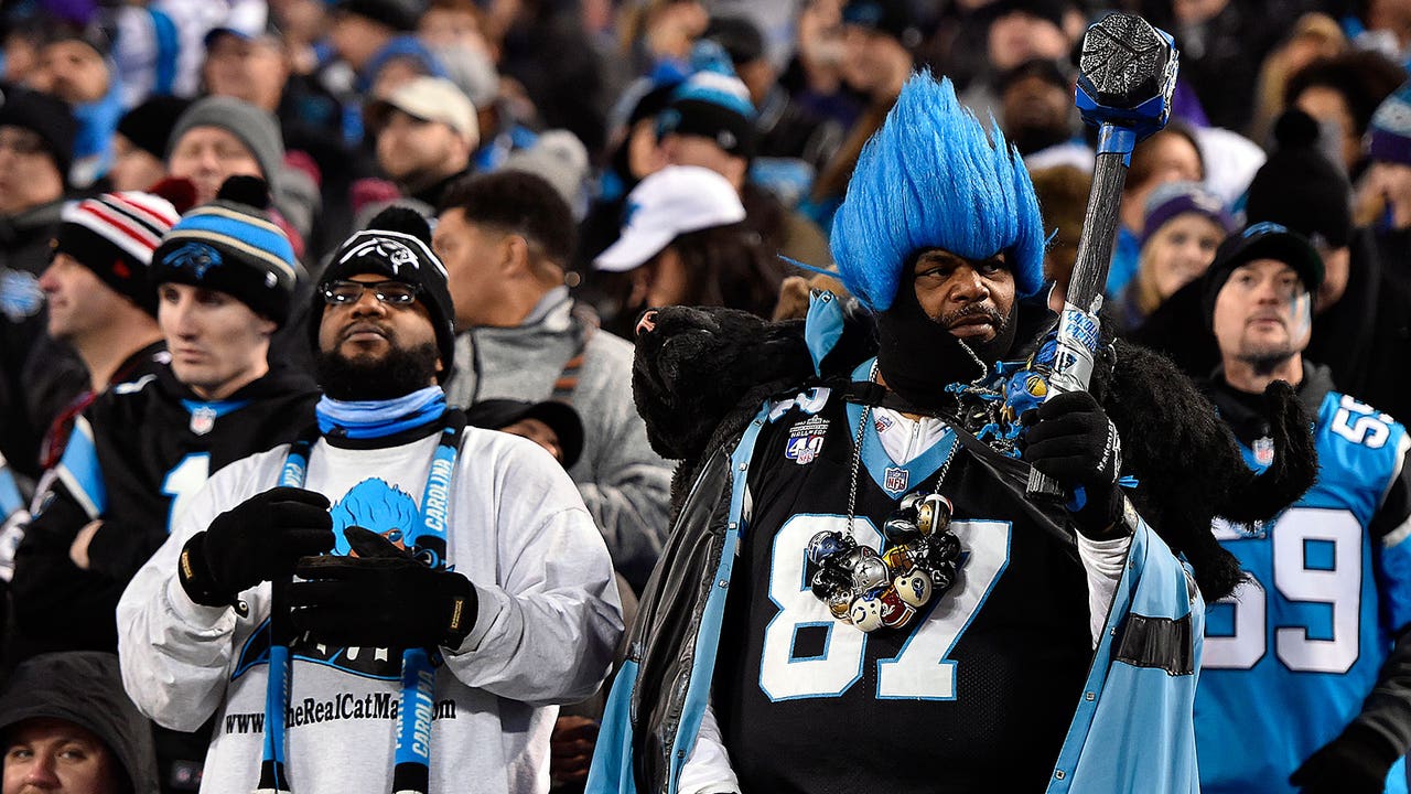 'We are a family': Panthers fans tell us why we should root for them